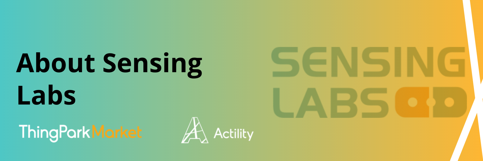 About Sensing Labs