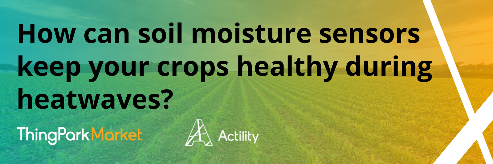 How Can Soil Moisture Sensors Keep Your Crops Healthy During Heatwaves? 