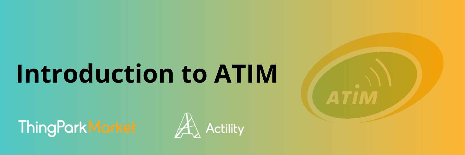 Introduction to Atim